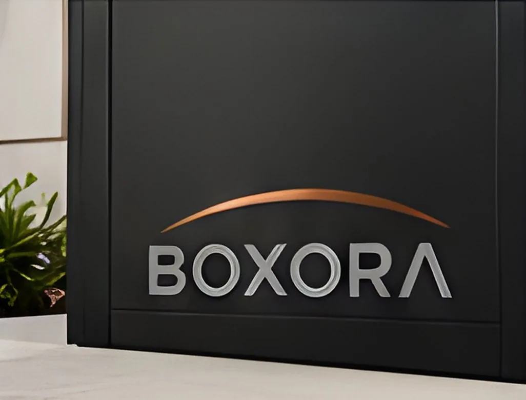 Close-up of the Boxora logo on a charcoal mailbox